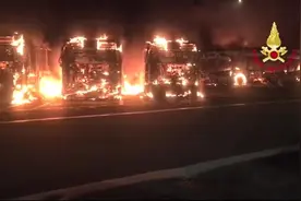 意大利罗马一公交场站起火 26辆公交车被烧毁图片