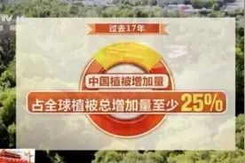 我国森林覆盖率从8.6%到22.96%图片