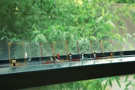 咔嚓！打卡北大成功！图片