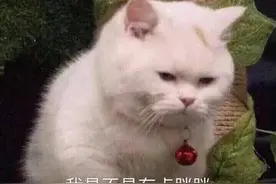 放假在家的你，是不是又被父母“嫌弃”了图片