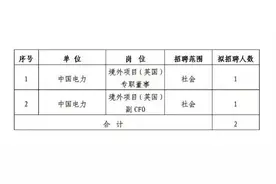 【社招】中国电力公开招聘境外项目高管图片