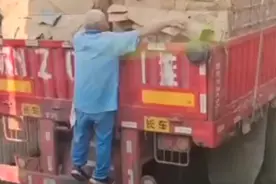 大爷看中大货车上的纸壳站在车尾往外拽 车已经行驶还拽着不撒手图片