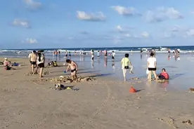 国庆游客扎堆文昌月亮湾 赶海捞贝赏别样美景图片