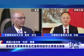 巴铁为什么能这么铁？中外大使云对话图片