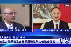 巴铁为什么能这么铁？中外大使云对话图片