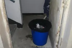 放楼道气味难闻不卫生，放楼下老人说不方便，江汉一小区垃圾桶放置引争议图片