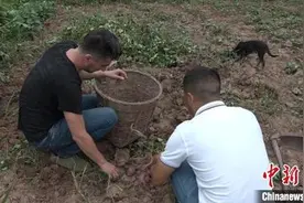 四川泸州的土耳其女婿：用短视频“书写”中国乡村日记图片