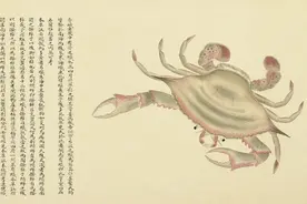 在宋代，蟹有8种吃法，你吃过几种？图片