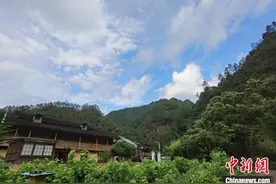 探寻浙里共富现象：“绿色”底色铺就山水之间图片