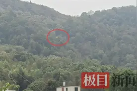 长沙一滑翔伞挂树上两人受伤，业内人士：天气不稳定应立即停飞图片