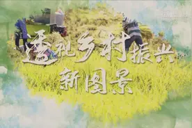 透视乡村振兴新图景图片