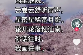 杜甫：我真没写过图片