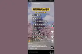 杜甫：我真没写过图片