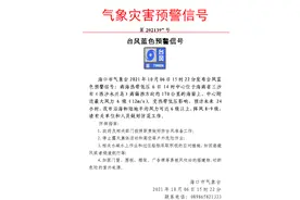 琼州海峡风力将增大 抗风等级不足8级的客滚船舶停运图片