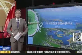 新闻透视：一刻之美，15分钟社区生活圈的新样本（六）——奉贤上海之鱼，“无边界”公园视频封面