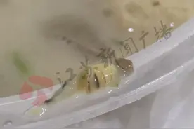 镇江一女子外卖咬断半条虫子吞下后呕吐不止 索赔千元遭商家报警敲诈图片