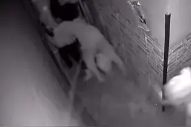 “密室逃脱”又被严查！怎样玩得开心，还能玩得安全图片