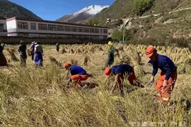 万能的消防员丨上山能灭火 下地能收割图片