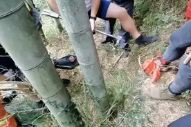 庐江县一村民被野猪夹子夹到脚 消防快速救援图片