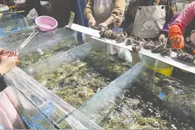 今年大闸蟹行情如何？量增价落，中等个头受欢迎图片