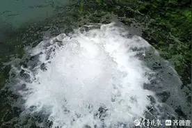 航拍济南喷泉第一高：最大泉眼喷出近一米高水柱图片