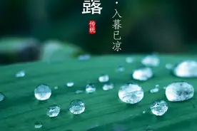 节气｜寒露，露似真珠月似弓图片