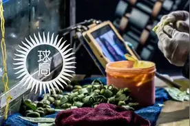 槟榔，谁的毒药？谁的蛋糕？图片