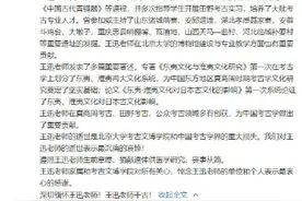 新中国第一位考古学博士王迅去世，曾在饭店“摆鸡骨”走红网络图片