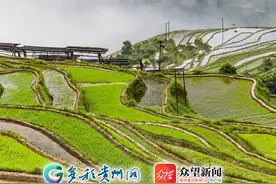 惊艳！贵州这些梯田 每一个都藏着你想不到的美图片