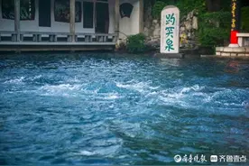 到底是20年最高，还是56年最高？趵突泉地下水位历史数据之谜图片
