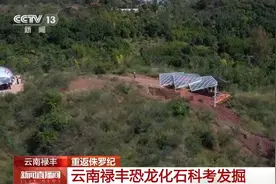 恐龙的祖先是什么？“化身为石”分几步？死后为何头朝东方？......穿越亿万年，一起探索远古的奥秘图片