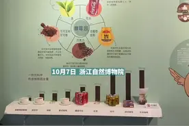 大红袍是红茶吗？很多人都有这个疑惑！天目新闻记者带你专业逛展视频封面