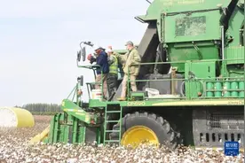 百闻不如一见——北京大学留学生参访新疆图片