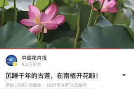 国内首次成功“复活”千年古莲的那些人，是谁？图片