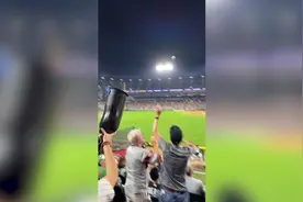 戏剧一幕！美国一名球迷用假肢接住飞向看台的棒球图片