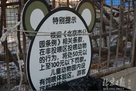 北京动物园：监控全覆盖，多设曝光台，投喂动物却屡禁不止图片
