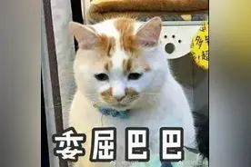 别人开我的车违法了，分记在谁的驾驶证上？图片