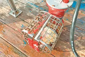 成功！哈工程研制的海底捕捞机器人 载着海鲜上岸了图片