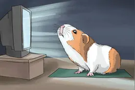 国庆七天，有一百多名孩子被咬伤！医生提醒：它远没有看起来这么温顺......图片