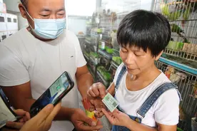 河南商丘：人工繁育鹦鹉有了“身份证”图片