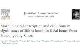 30万年前古人类面容复原！我国学者发现东亚最早具有现代人面部特征的人类化石图片