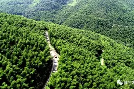 咸宁这个地方上了《新闻联播》！全国人民都在看图片