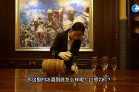 全球连线｜从冰葡萄到冰酒——一颗冰葡萄的雪国之旅视频封面
