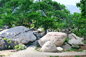 《长津湖》中让人泪目的《沂蒙山小调》诞生在这里图片