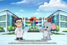 【“象”往春城 相约COP15】昆明的这个“诺亚方舟”可让种子存活千年视频封面