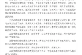 缅怀！著名考古学家王迅逝世图片