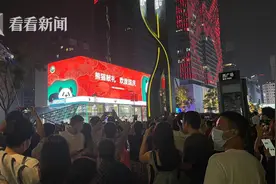 龙凤胎宝宝萌翻路人！全球首个巨物化裸眼3D大熊猫来了图片