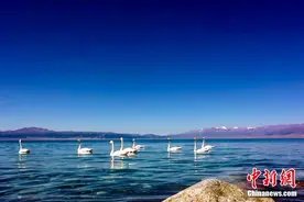 在新疆有一种蓝叫“赛里木湖蓝”图片