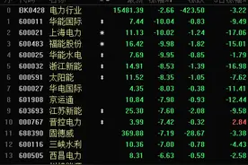 电力股跌倒一片！机构却逆势抄底，5只电力股现机构大举净买入图片