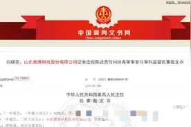 枣庄上市企业历经157天“涅槃重生”法治化营商环境再优化图片